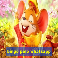 bingo pelo whatsapp